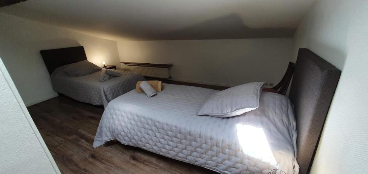 Gite De 420 Metres Carres Dans Chateau L'Ange Au Violon Jusqu'A 13 Couchages Conques-sur-Orbiel Bagian luar foto